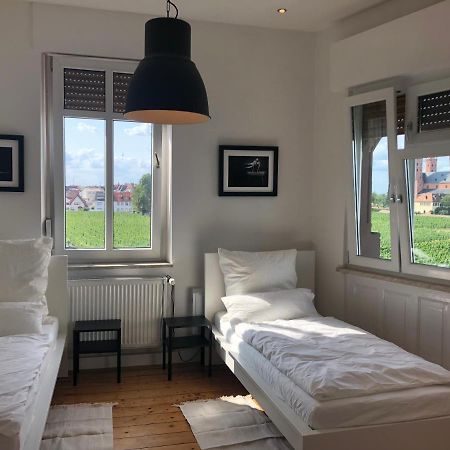 Luxe Apartment Am Rhein Вормс Екстер'єр фото