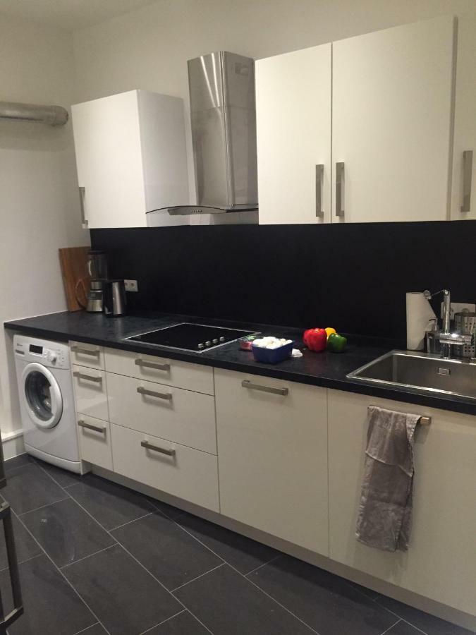 Luxe Apartment Am Rhein Вормс Екстер'єр фото